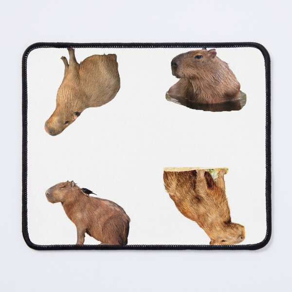 Item preview, 3rd Majestic Capybara Stickers Package. Funny Capybaras For Every Capybara Lover Or Other Rodent Owner! - Cute designed and sold by AnimalStickers-.