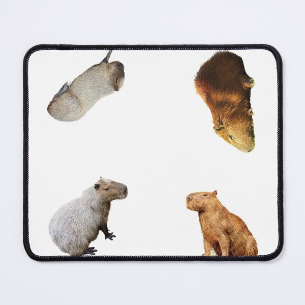 Item preview, 2nd Sleepy Capybara Stickers Package. Funny Capybaras For Every Capybara Lover Or Other Rodent Owner! - Cute designed and sold by AnimalStickers-.