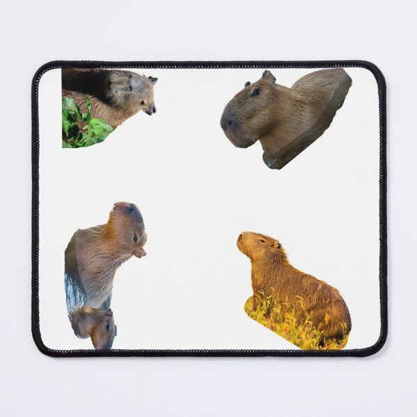 Item preview, 1st Snarky Capybara Stickers Package. Funny Capybaras For Every Capybara Lover Or Other Rodent Owner! - Cute designed and sold by AnimalStickers-.