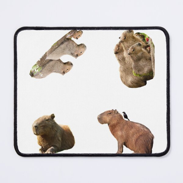 Item preview, 2nd Snarky Capybara Stickers Package. Funny Capybaras For Every Capybara Lover Or Other Rodent Owner! - Cute designed and sold by AnimalStickers-.