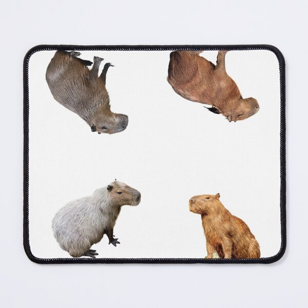 Item preview, 3rd Snarky Capybara Stickers Package. Funny Capybaras For Every Capybara Lover Or Other Rodent Owner! - Cute designed and sold by AnimalStickers-.