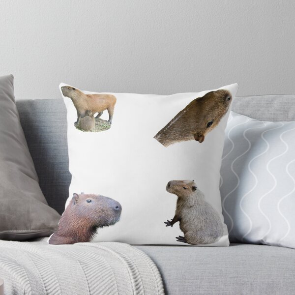 Item preview, 1st Surprised Capybara Stickers Package. Funny Capybaras For Every Capybara Lover Or Other Rodent Owner! - Cute  designed and sold by AnimalStickers-.