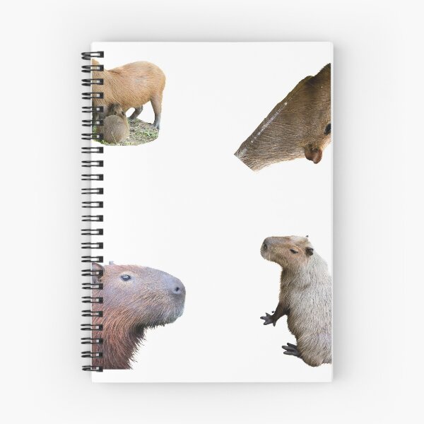 Item preview, 1st Surprised Capybara Stickers Package. Funny Capybaras For Every Capybara Lover Or Other Rodent Owner! - Cute  designed and sold by AnimalStickers-.