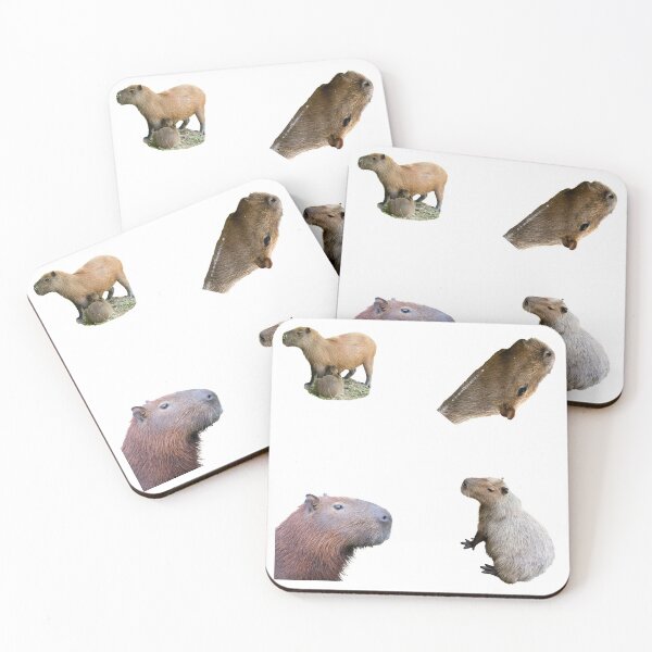 Item preview, 1st Surprised Capybara Stickers Package. Funny Capybaras For Every Capybara Lover Or Other Rodent Owner! - Cute  designed and sold by AnimalStickers-.