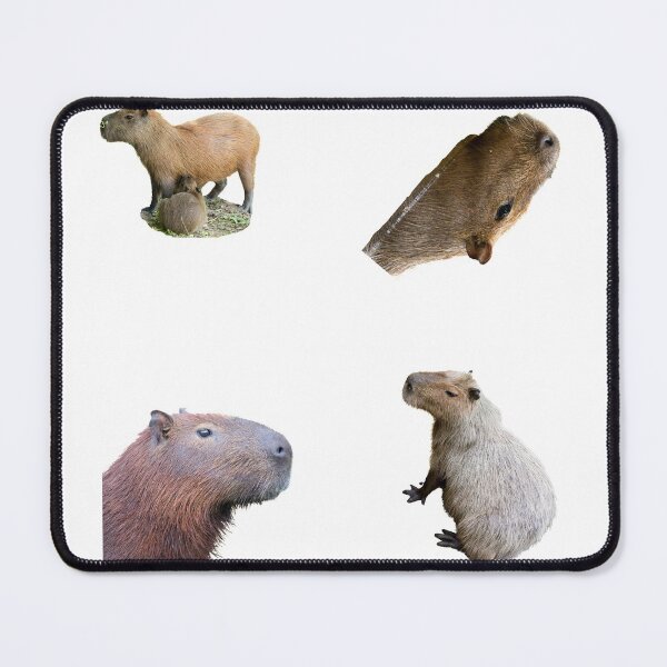 Item preview, 1st Surprised Capybara Stickers Package. Funny Capybaras For Every Capybara Lover Or Other Rodent Owner! - Cute designed and sold by AnimalStickers-.