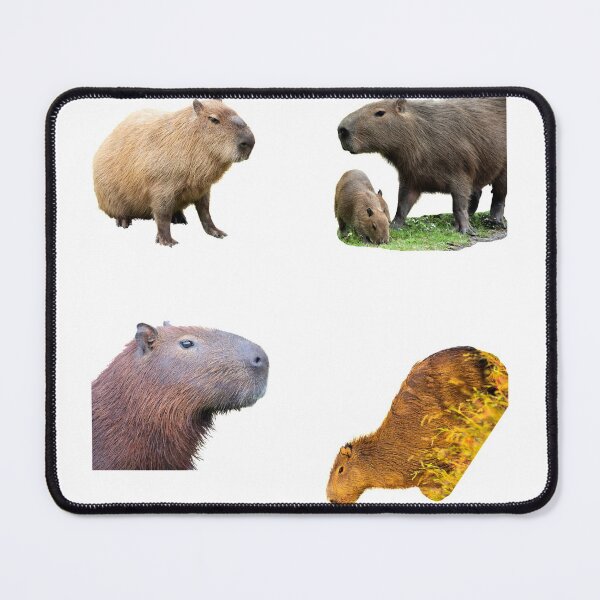 Item preview, 1st Unique Capybara Stickers Package. Funny Capybaras For Every Capybara Lover Or Other Rodent Owner! - Cute designed and sold by AnimalStickers-.