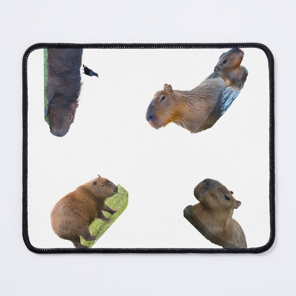 Item preview, 2nd Unique Capybara Stickers Package. Funny Capybaras For Every Capybara Lover Or Other Rodent Owner! - Cute designed and sold by AnimalStickers-.