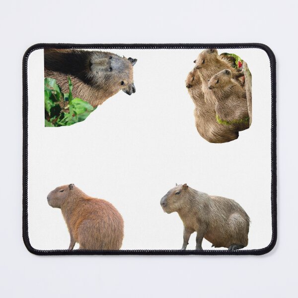Item preview, 3rd Unique Capybara Stickers Package. Funny Capybaras For Every Capybara Lover Or Other Rodent Owner! - Cute designed and sold by AnimalStickers-.