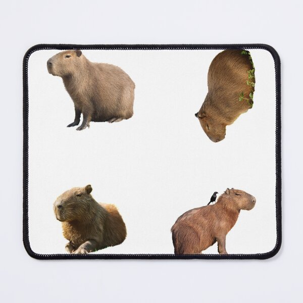 Item preview, 4th Unique Capybara Stickers Package. Funny Capybaras For Every Capybara Lover Or Other Rodent Owner! - Cute designed and sold by AnimalStickers-.
