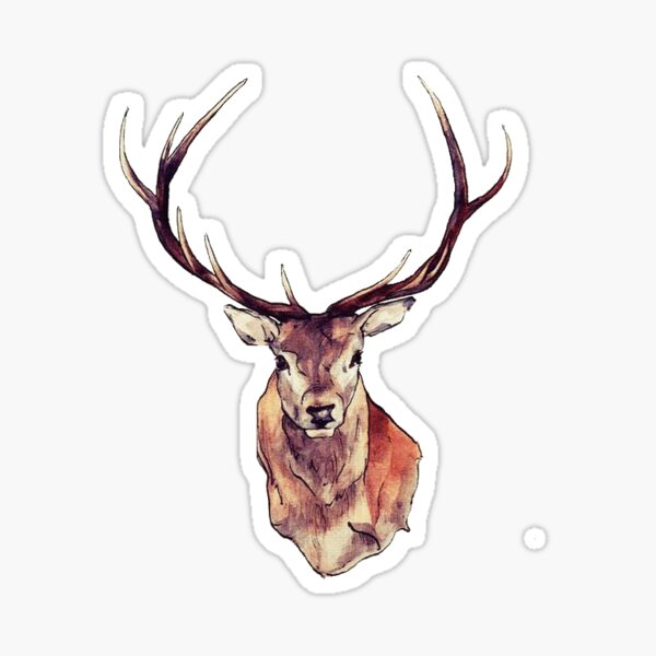 deer merchandise