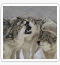 Family Squabble Sticker