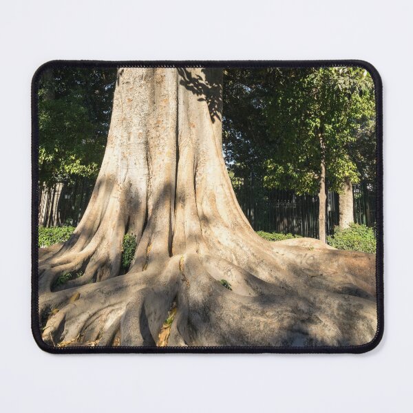 Item preview, Pure Power - a Giant Ficus Tree in Jardines de Murillo designed and sold by Georgia Mizuleva.