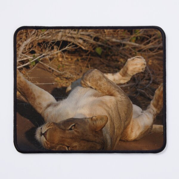 Item preview, Relaxing Lioness designed and sold by Drekisdottir.