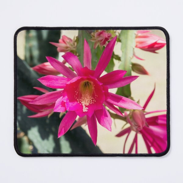 Item preview, Bold Christmas Beauty - Orchid Cactus Blooms in Juicy Pink designed and sold by Georgia Mizuleva.