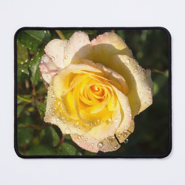 Item preview, Rose and Rain - a Perfect Blend of Yellow and Pink designed and sold by Georgia Mizuleva.