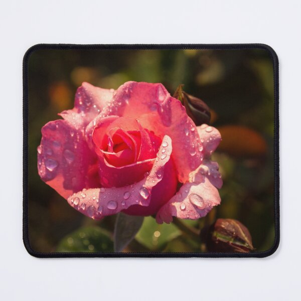 Item preview, Rose and Rain - Juicy Pink Rosebud designed and sold by Georgia Mizuleva.