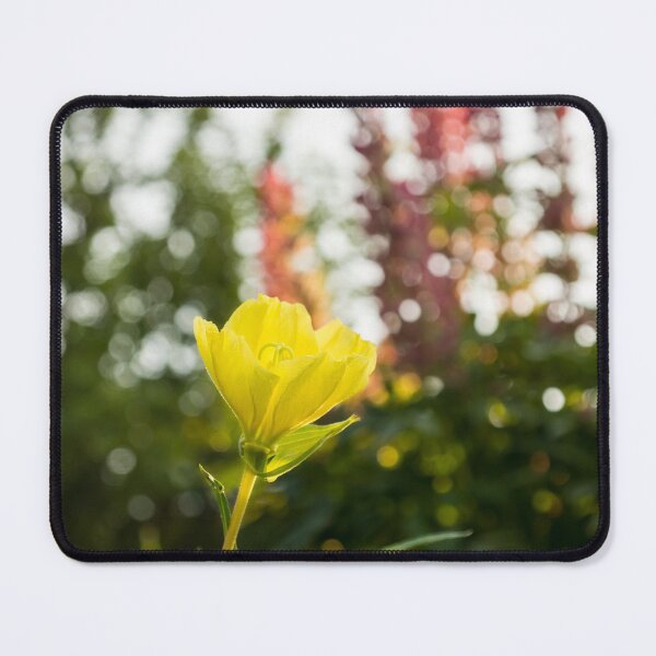 Item preview, Night Blooming Evening Primrose  designed and sold by Georgia Mizuleva.