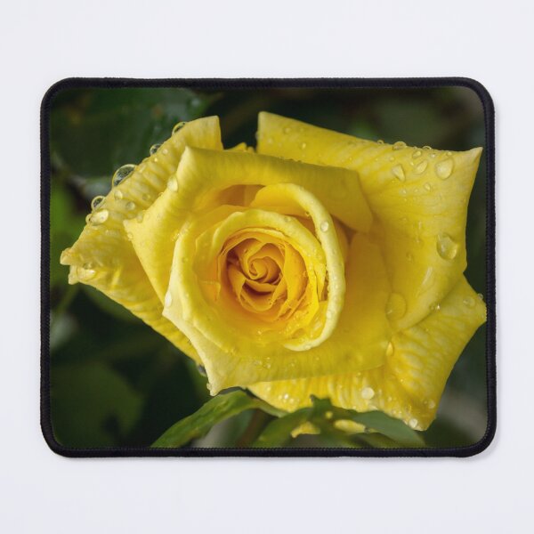 Item preview, Rose and Rain - Cyber Yellow Rosebud designed and sold by Georgia Mizuleva.