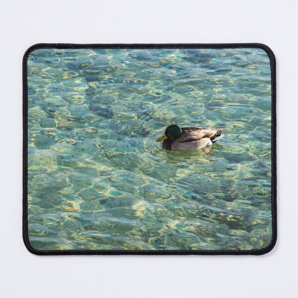 Item preview, Gliding on Rainbows - Mallard Duck on Sunshiny Lake designed and sold by Georgia Mizuleva.