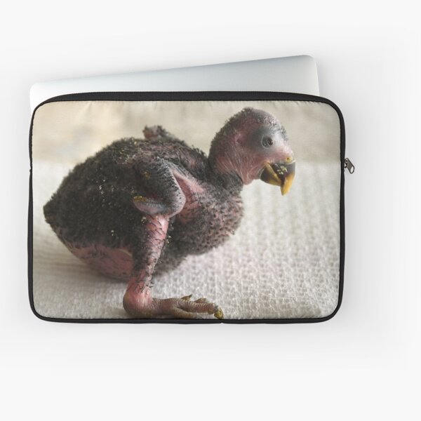 My New baby Laptop Sleeve