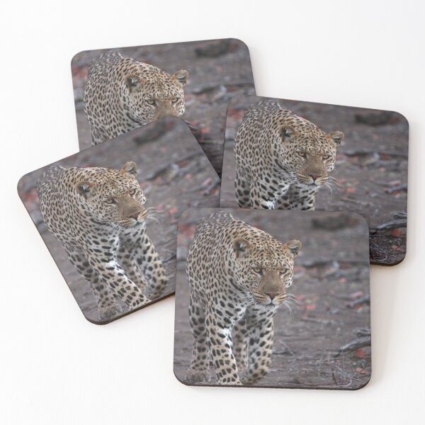 Item preview, Leopard on the Prowl designed and sold by Drekisdottir.
