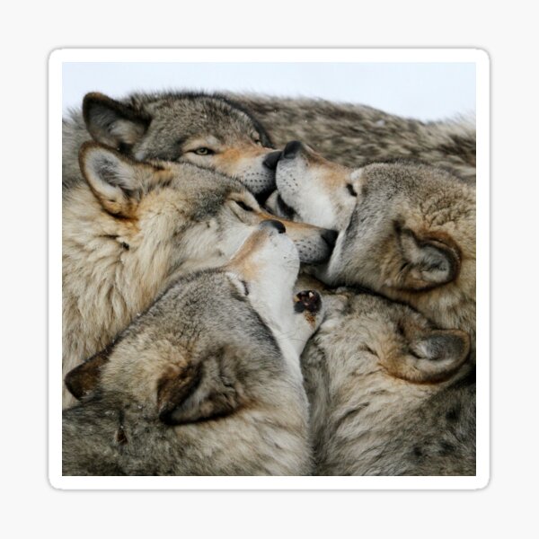 Muzzle nuzzle Sticker
