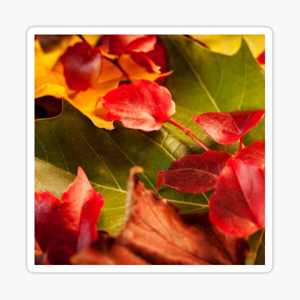Item preview, A Taste Of Fall designed and sold by CherryDamzel.