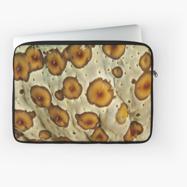 Sea Cucumber Macro Laptop Sleeve