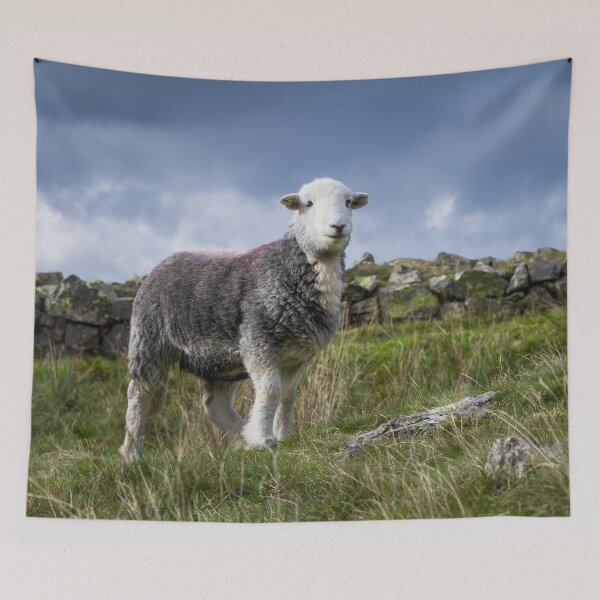 Item preview, Happy Herdwick designed and sold by Jane Stanley Photography.