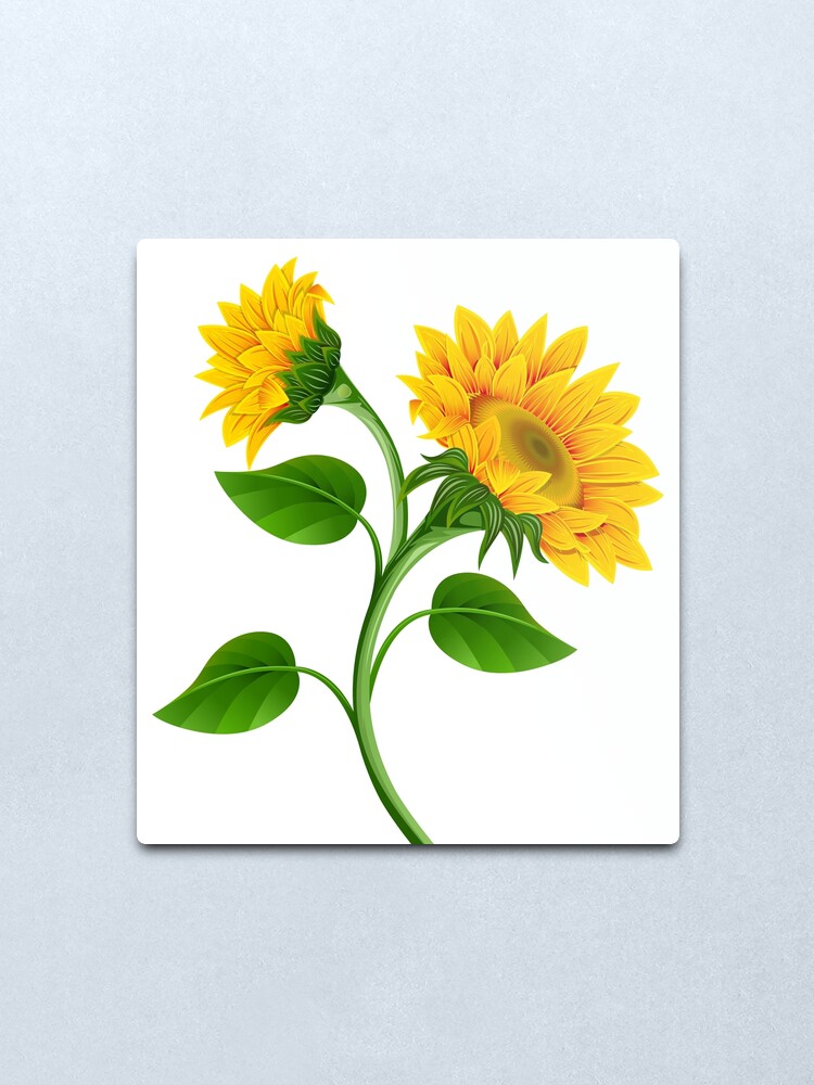 Lámina metálica «girasol» de sbrstore | Redbubble