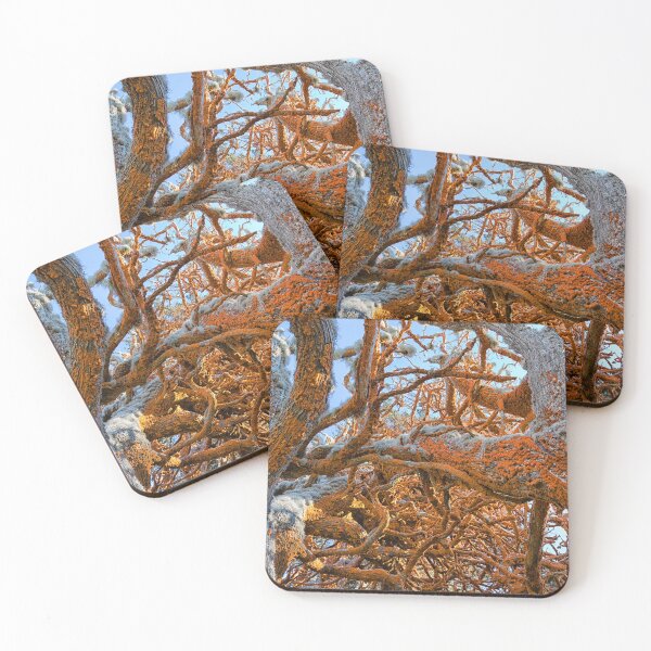 Item preview, Red Lichen designed and sold by Yair Karelic.