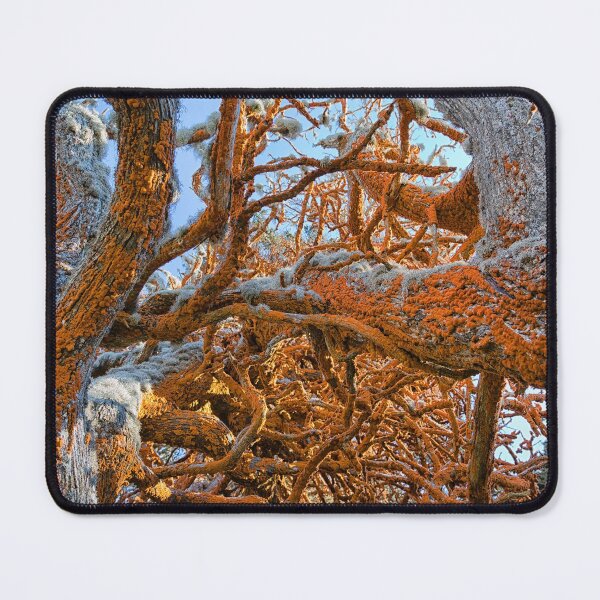 Item preview, Red Lichen designed and sold by Yair Karelic.