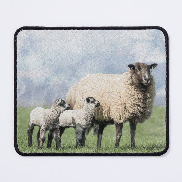Item preview, Watercolour Effect Photograph of Sheep and Twin Lambs designed and sold by Jane Stanley Photography.