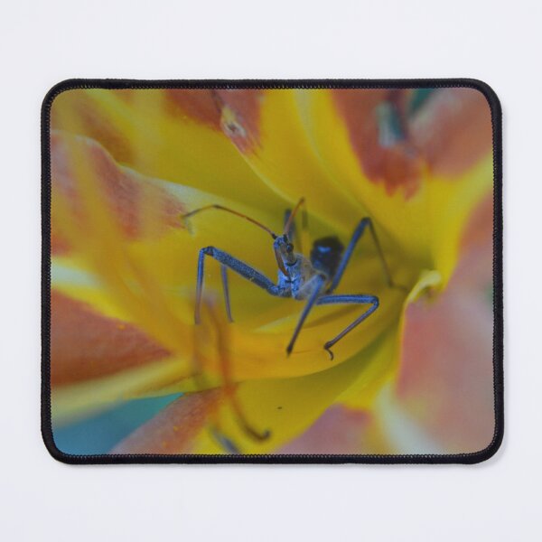 Item preview, mantis in the bloom designed and sold by dnparker.
