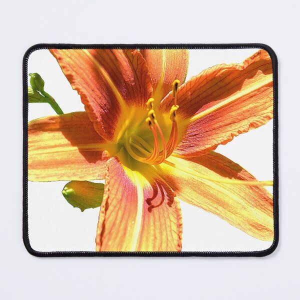 Item preview, lily on white designed and sold by dnparker.