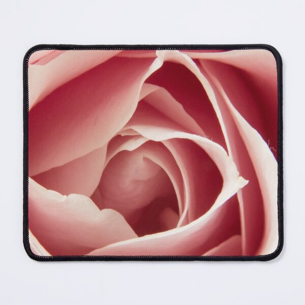 Item preview, Perfect pastel, pale pink rose. Single flower. Close up. designed and sold by JellyBeenzz.