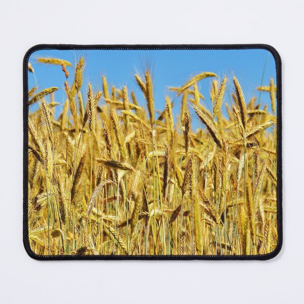Item preview, Wheat field designed and sold by fourretout.