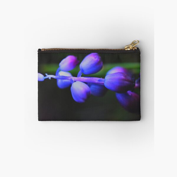 Item preview, Muscari parviflorum designed and sold by andrachne.