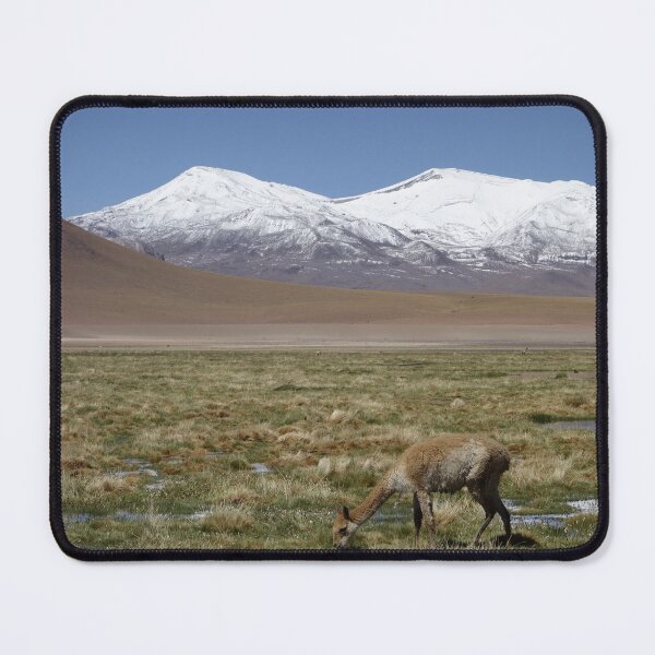 Item preview, Llama Grazing Below Atacama Volcanos designed and sold by Stratus13.