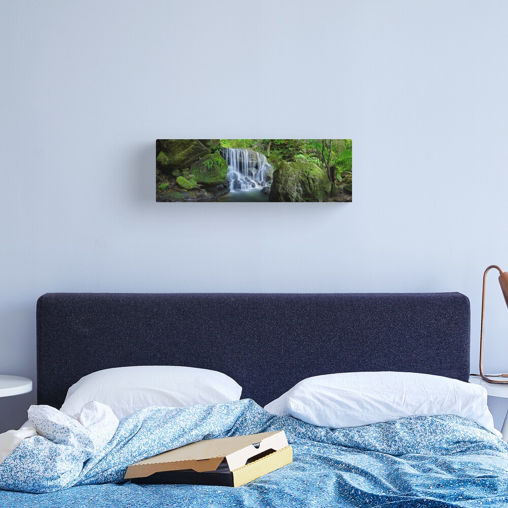 Weeping Rock, Blue Mountains. New South Wales, Australia Canvas Print