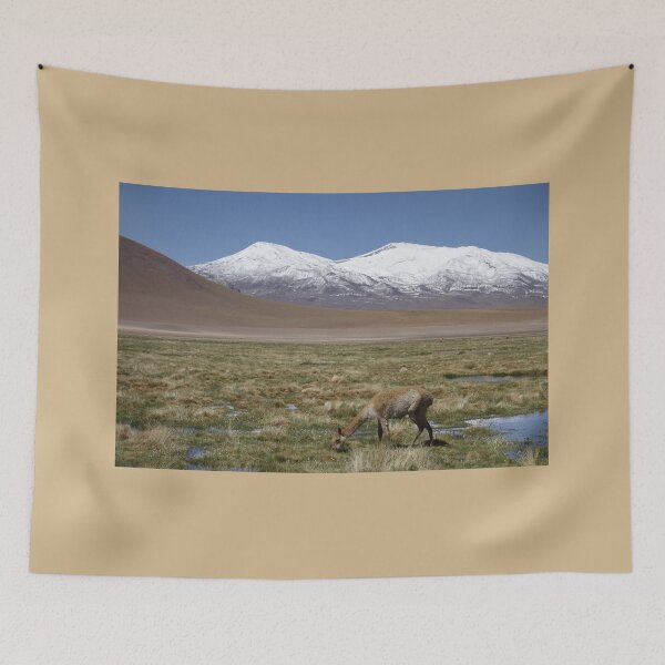 Item preview, Llama Grazing Below Atacama Volcanos designed and sold by Stratus13.