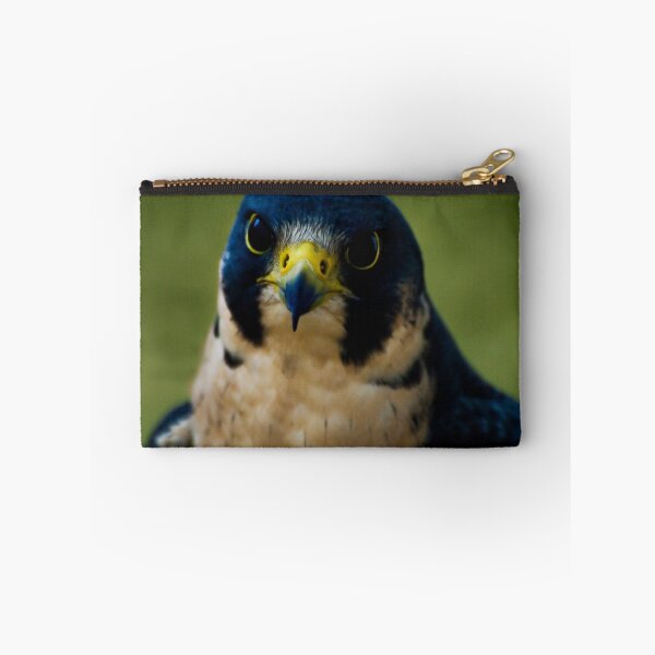 Artikelvorschau, Peregrine Falcon entworfen und verkauft von Sue Ratcliffe.