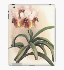 Reichenbachia Orchids illustrated and described by F. Sander 1888 V1-V2 062 iPad Case/Skin