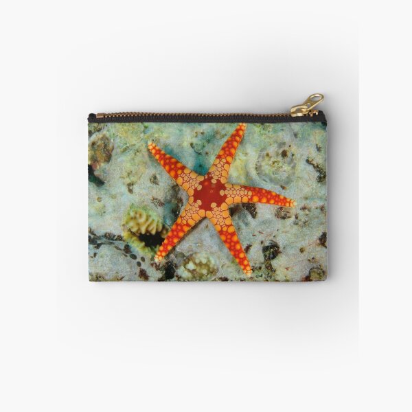 Item preview, Sea Star designed and sold by Andrew Trevor-Jones.