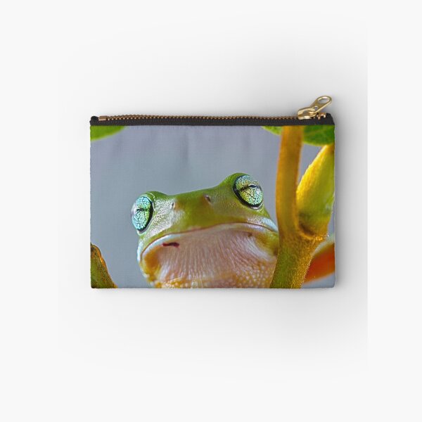 Item preview, Australian Green Tree Frog, (Litoria caerulea) - Face designed and sold by Normf.