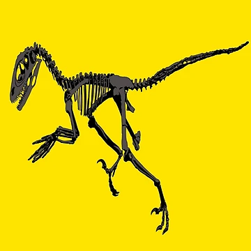 Artwork thumbnail, Skull Raptor by SpaceART51