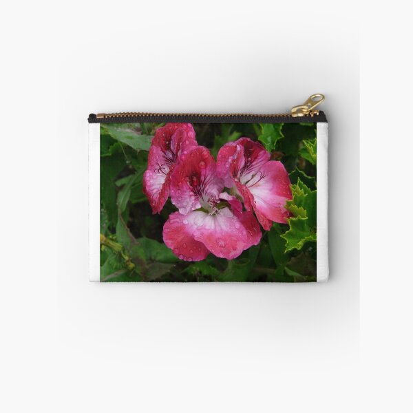 Item preview, Pelargonium sunset designed and sold by Les Boucher.