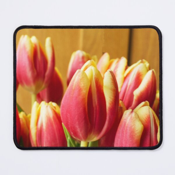 Item preview, A bunch of red and yellow Tulips designed and sold by PicsByTony.