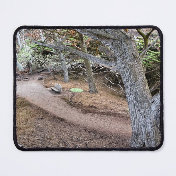 Item preview, The Bench designed and sold by Yair Karelic.