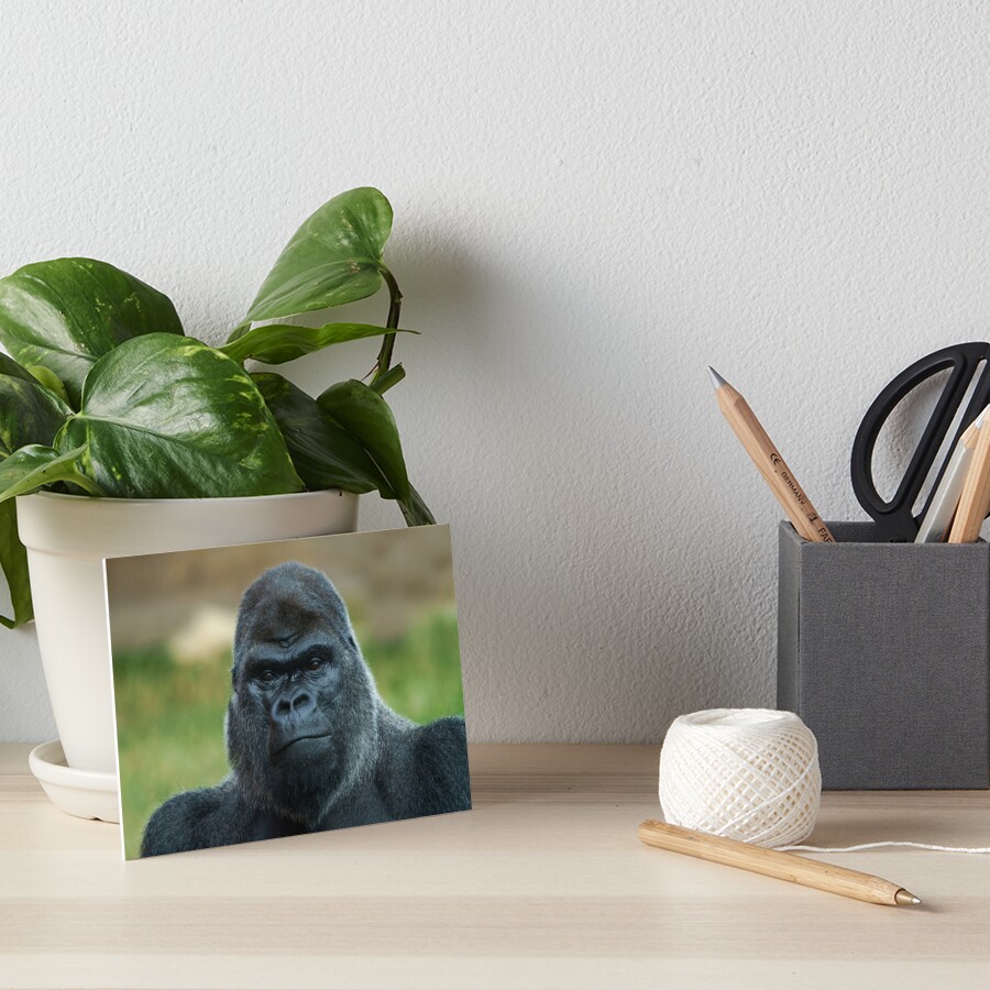 Item preview, Art Board Print designed and sold by rawshutterbug.